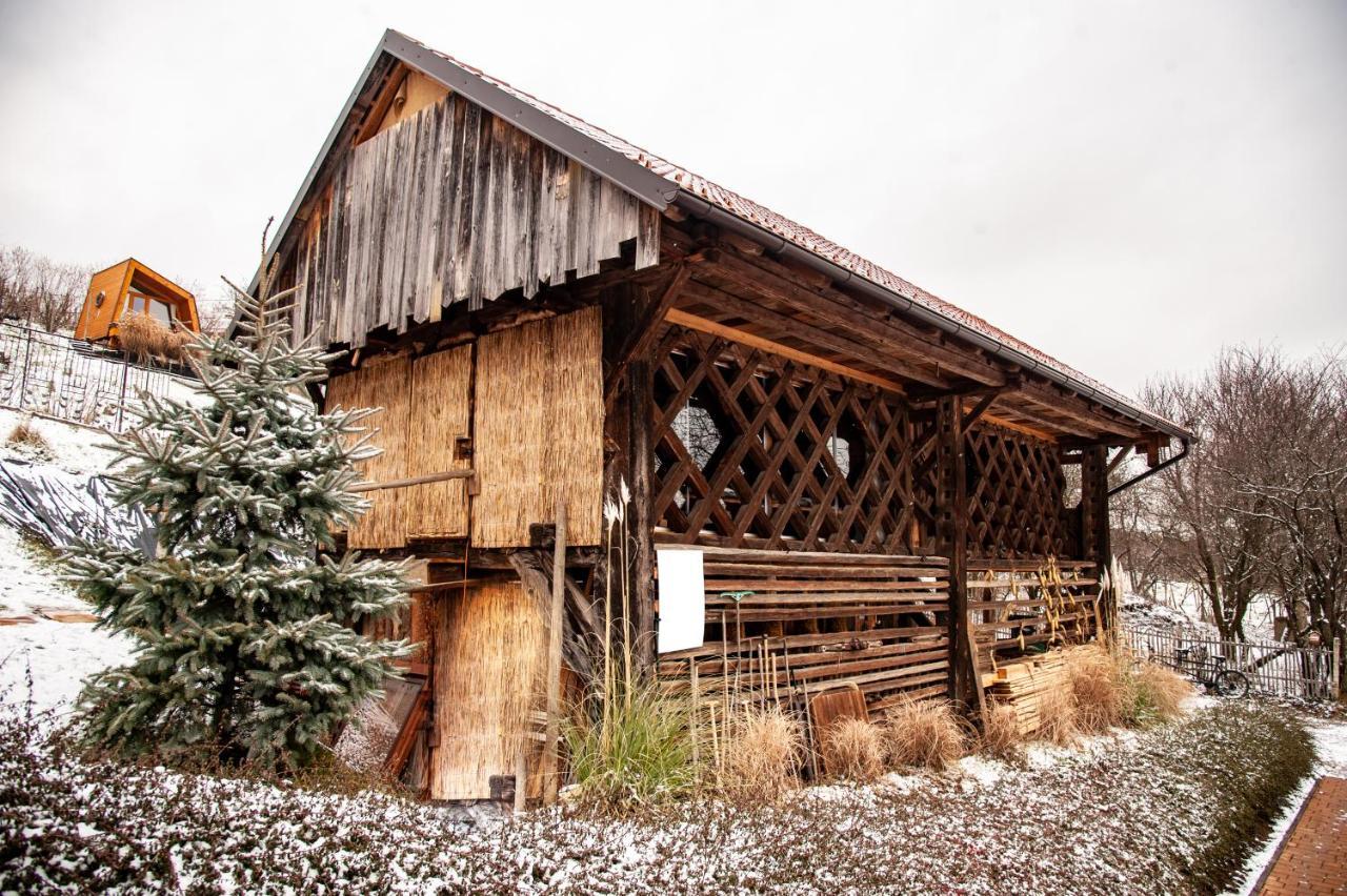Panorama Glamping Visole Hotel Slovenska Bistrica Exterior foto