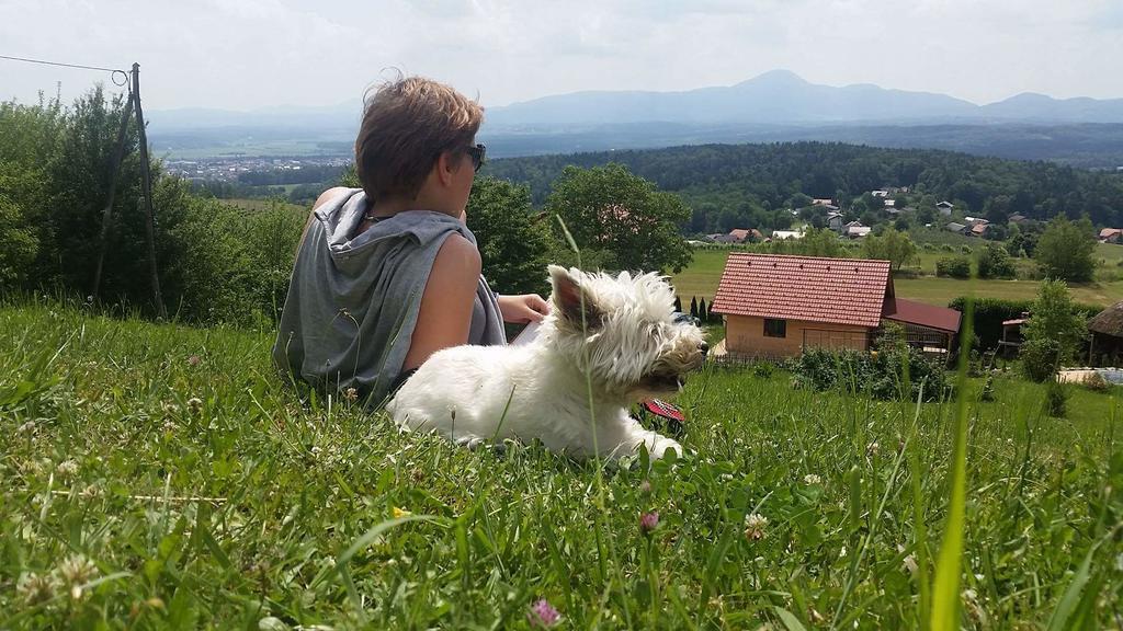 Panorama Glamping Visole Hotel Slovenska Bistrica Exterior foto